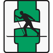 Heming Fotball logo