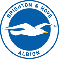 Brighton and Hove Albion logo