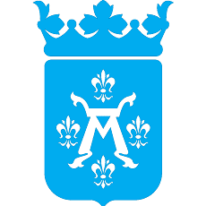 The city of Turku logo