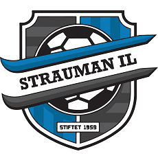 Strauman IL logo